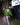 <div style="text-align: center;">GABE VINCENT<br>[INTODUSK]のパンツを愛用</div>